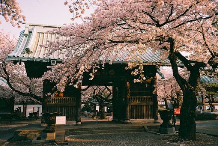 日本醫療旅游整體流程是怎樣的 日本醫療旅游整體流程是怎樣的